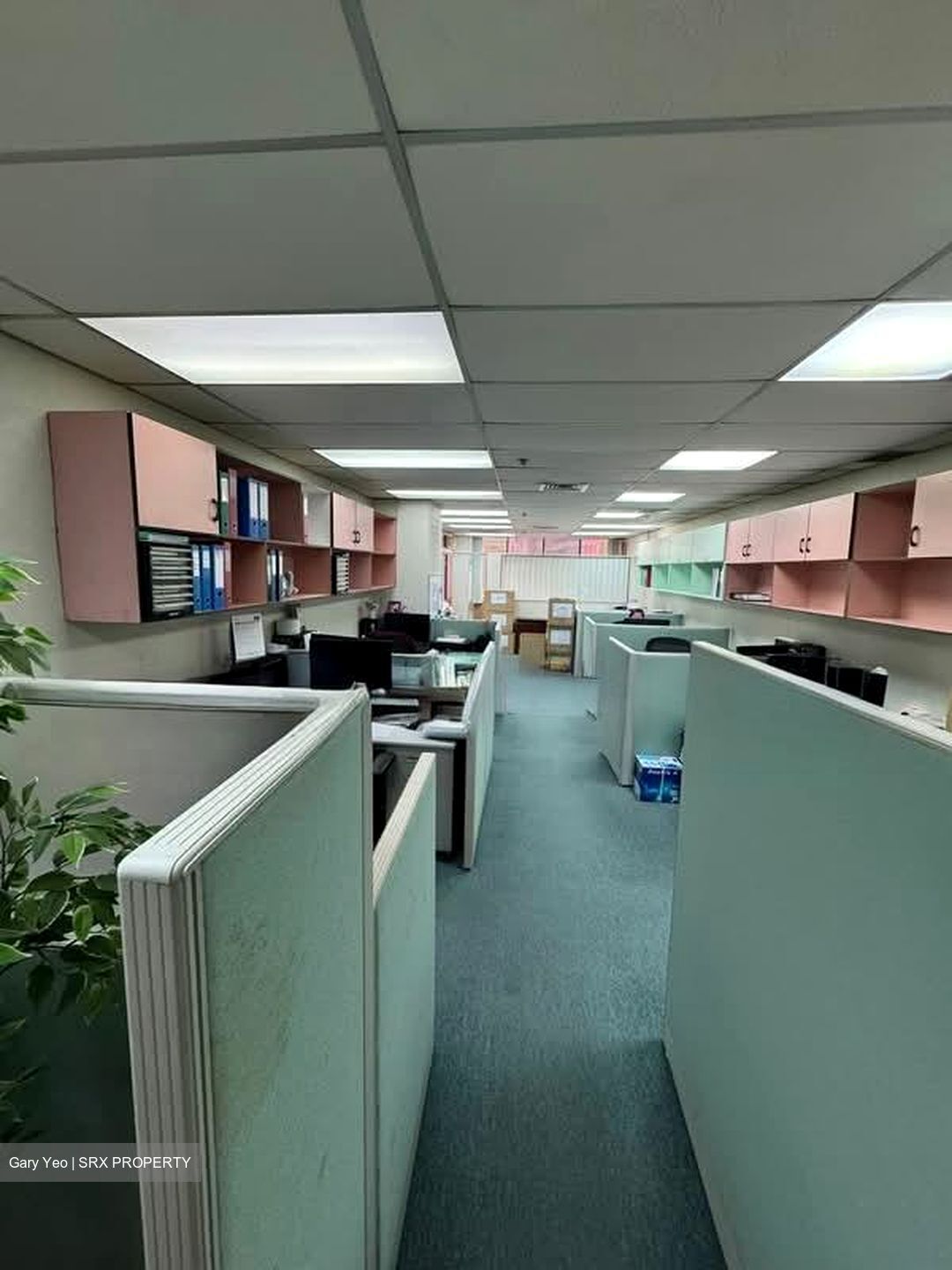 International Plaza (D2), Office #538678111